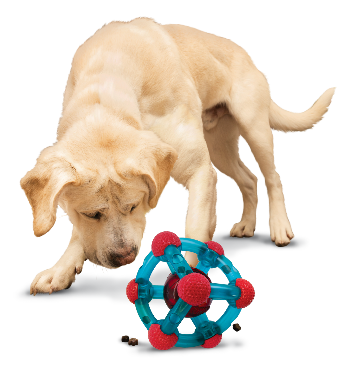Jouets Kong Tinker Rewards pour chien