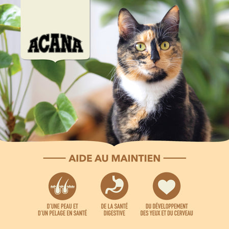 Chat Adulte Récolte De La Ferme avec Poulet et Dinde - Acana