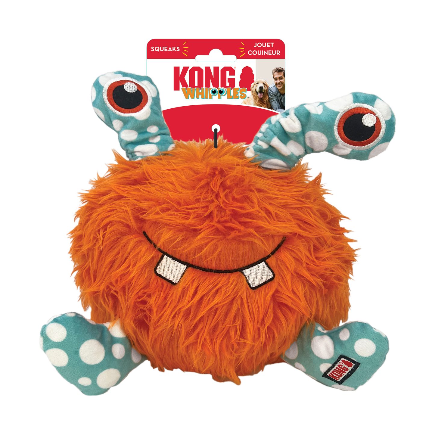 Whipples Assorted Kong
