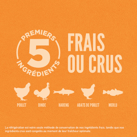 Tous Âges Original avec Poulet, Dinde et poisson - Orijen