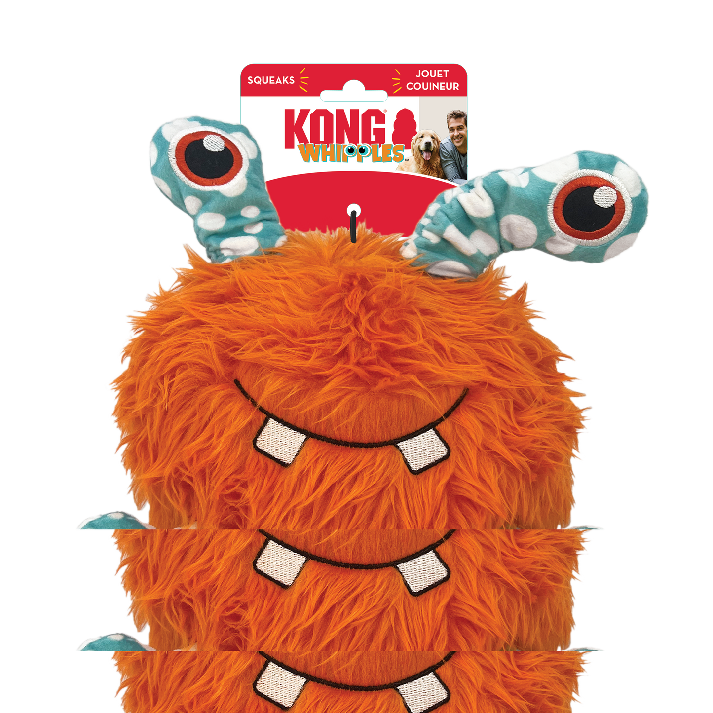Whipples Assorted Kong