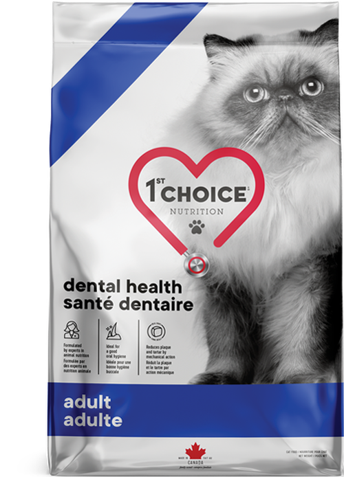 Adulte Santé Dentaire - 1ST Choice